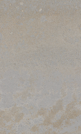 Caesarstone Primordia surface