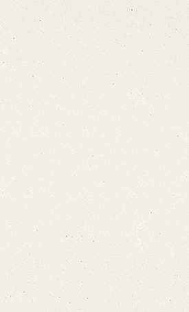Caesarstone Fresh Concrete surface