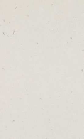 Caesarstone Misty Carrera surface