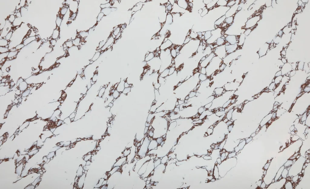 Arabescato Viola Classic Quartz worktop surface